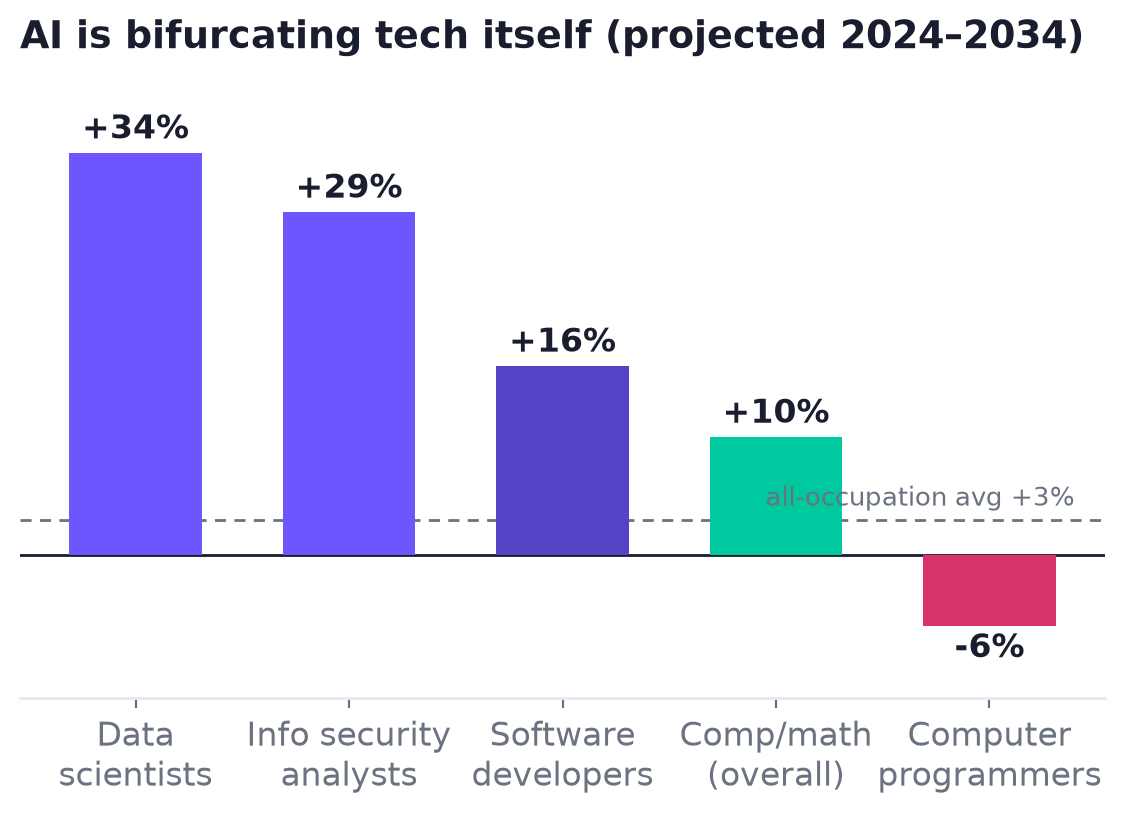 Bar chart of projected 2024-2034 growth: data scientists +34%, info security +29%, software developers +16%, computer/math +10%, computer programmers -6%